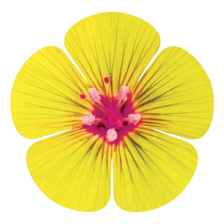 NEXT INNOVATIONS Yellow 5 Petal Flower Wall Art 101410045-YELLOW